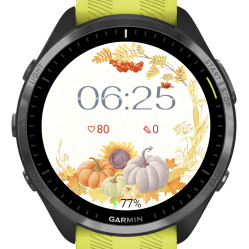 Harvest Harmony – Autumn Pumpkin · Screenshot 2