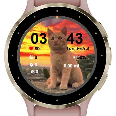 Cat · Screenshot 0