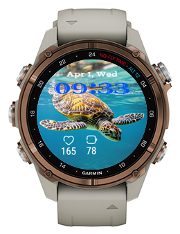 Big Turtle · Screenshot 0