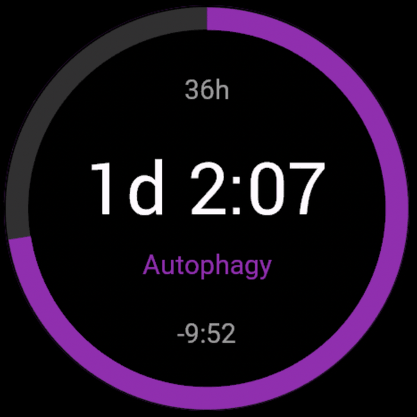 HealthyFast — Fasting Timer · Screenshot 0