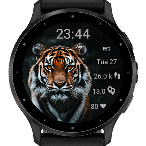 Tiger Focus G · Screenshot 0