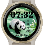Panda 2