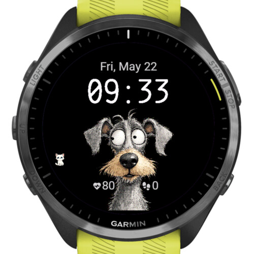 Dog and Cat · Screenshot 2