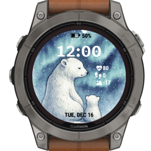 Polar bear · Screenshot 1