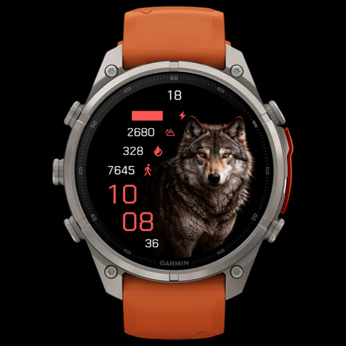 Alpha Wolf · Screenshot 3