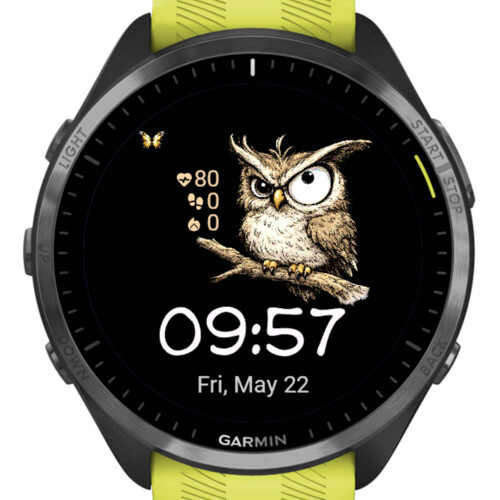 Funny Owl · Screenshot 2