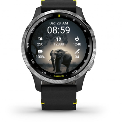 Elephant 001 · Screenshot 0