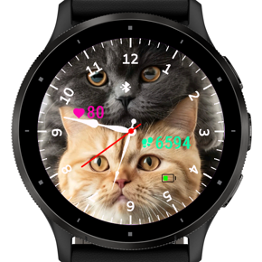 Cats · Screenshot 2
