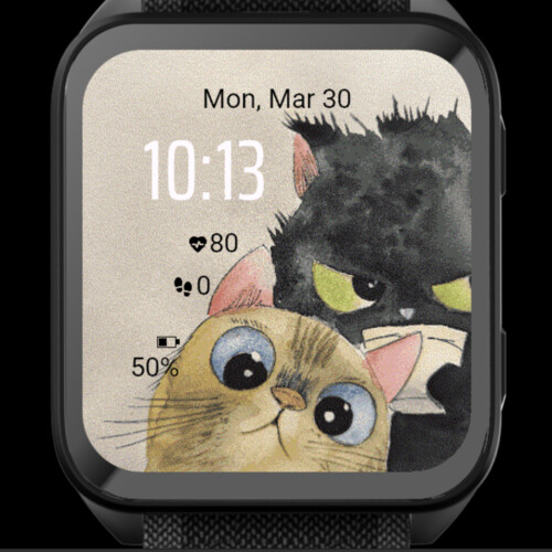 Cat Duo 3