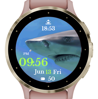 Shark Watch · Screenshot 1