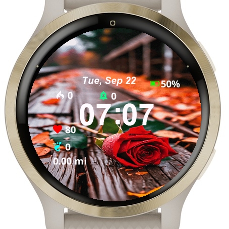 Close Up Red Rose Top Wooden · Screenshot 0