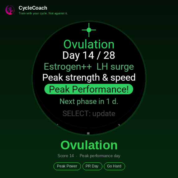 Cycle Coach – Cycle-based Training Recommendation · Screenshot 2