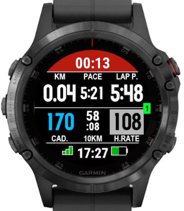 Running Partner · Screenshot 0