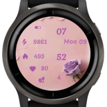Rose · Screenshot 3