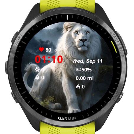 White Lion · Screenshot 0