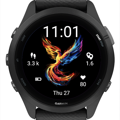 Phoenix Bird G · Screenshot 1