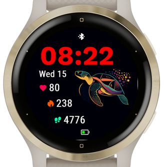 Groovy Turtle · Screenshot 1