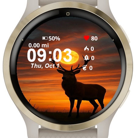 Red Deer Antlers Stands Sunset · Screenshot 0