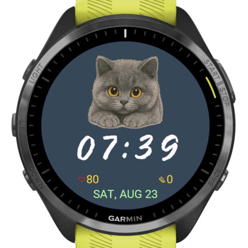 Kitten Watchface · Screenshot 1