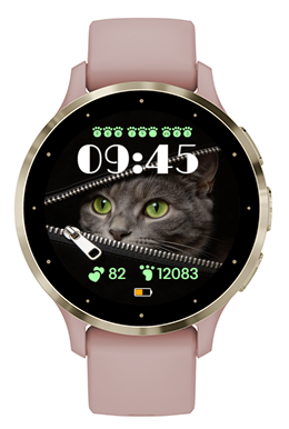 Cat Day · Screenshot 3