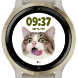 Funny kitty 3