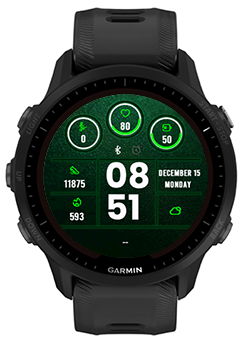 Dark Green · Screenshot 0