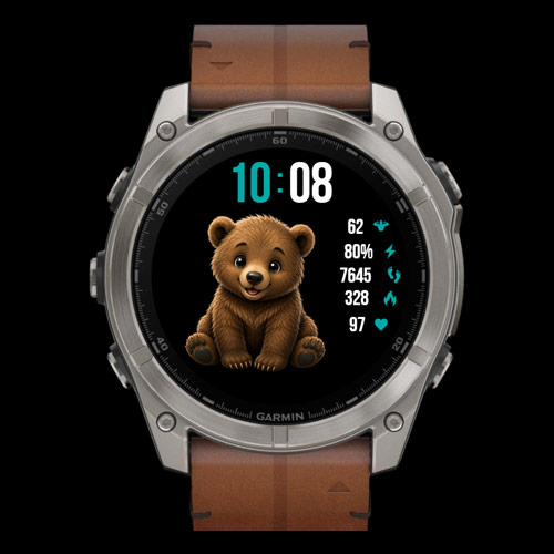 BearPulse · Screenshot 0