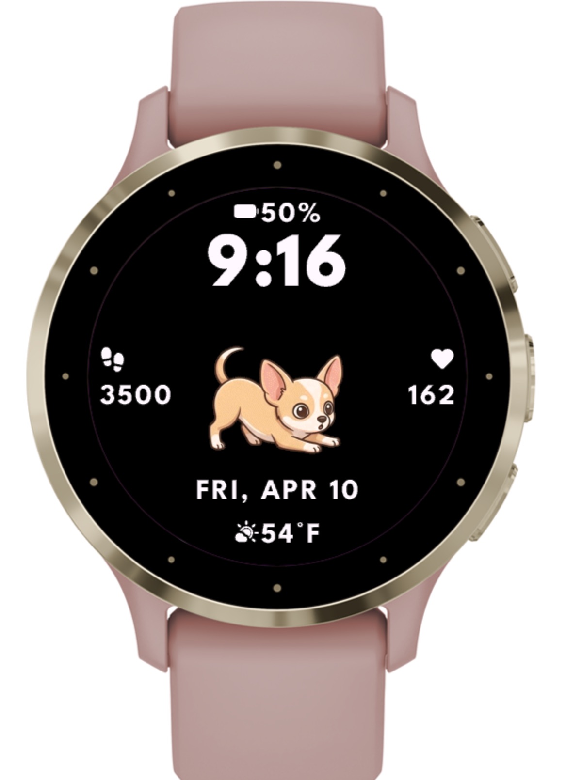 Chihuahua Dog - Animated · Screenshot 3