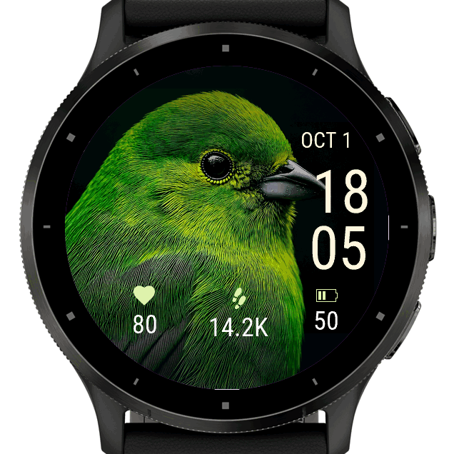 green bird · Screenshot 1