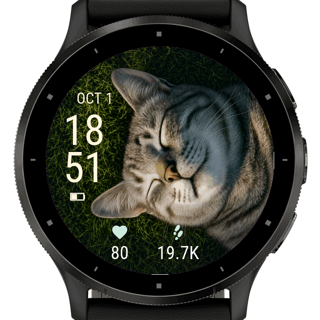sleeping cat portrait · Screenshot 1