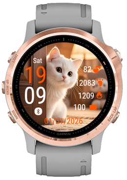White Kitten · Screenshot 3