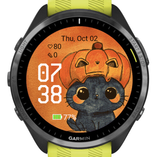 Halloween Cat · Screenshot 1