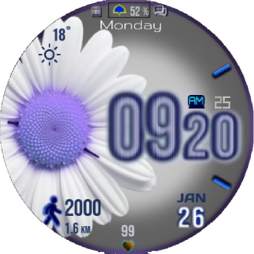 Choose a DAISY_T89 4