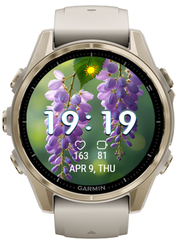 Wisteria Bloom · Screenshot 3