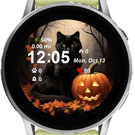 Black Cat Pumpkin · Screenshot 0