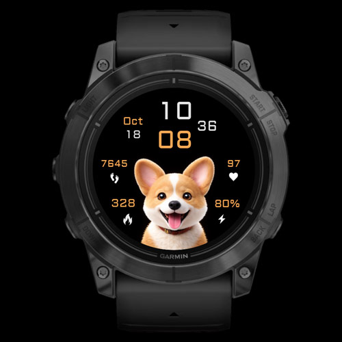 Corgi Digital 2