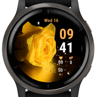 Golden Rose · Screenshot 3