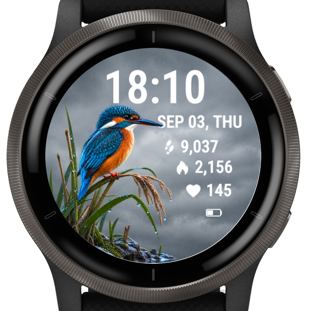Rainbank Kingfisher · Screenshot 1