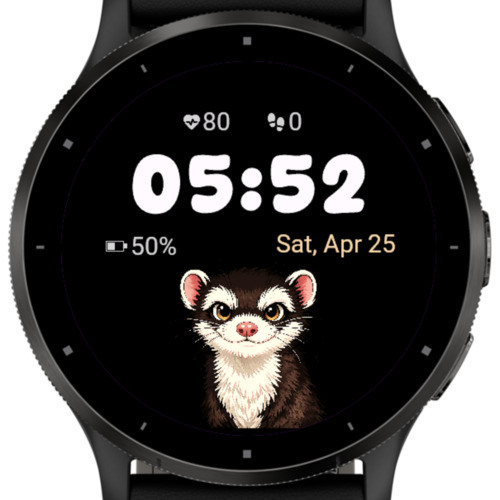 Happy Ferret Friend 3