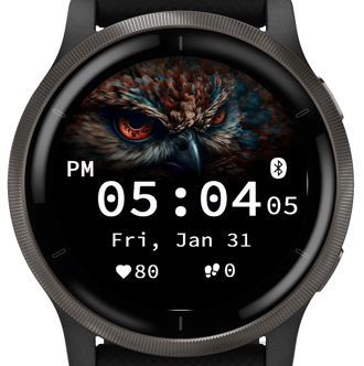 Wise Owl · Screenshot 3