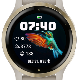 A Hummingbird · Screenshot 1