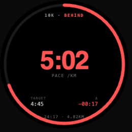 Race Pacer — Digital pacer screenshot 2