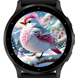 Winter Bird · Screenshot 1