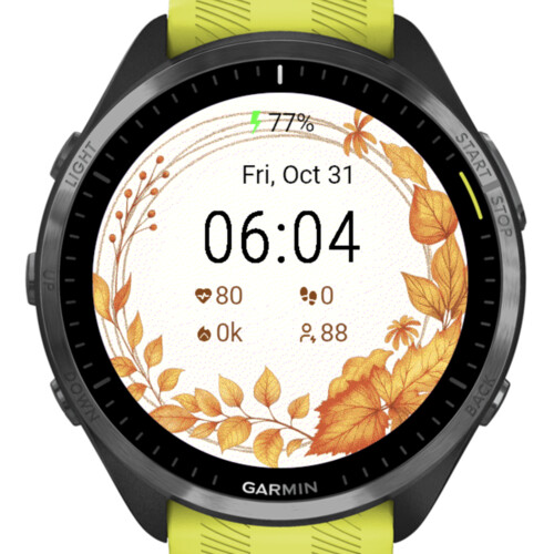 Golden Circle – Elegant Autumn · Screenshot 1
