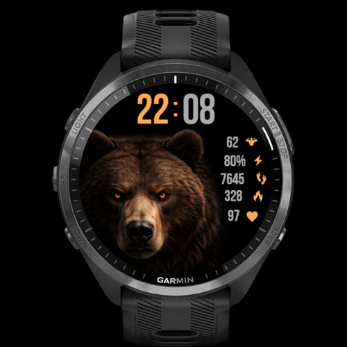 BearForce X · Screenshot 2