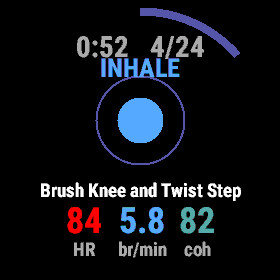 Tai Chi Guide · Screenshot 3