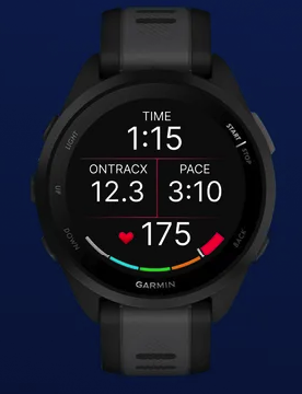 OnTracx Load | Data Field screenshot 1