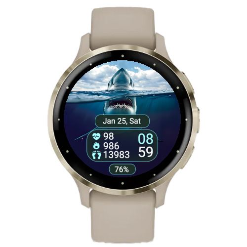 Shark · Screenshot 1
