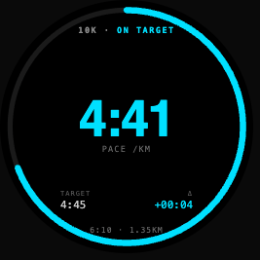 Race Pacer — Digital pacer screenshot 1