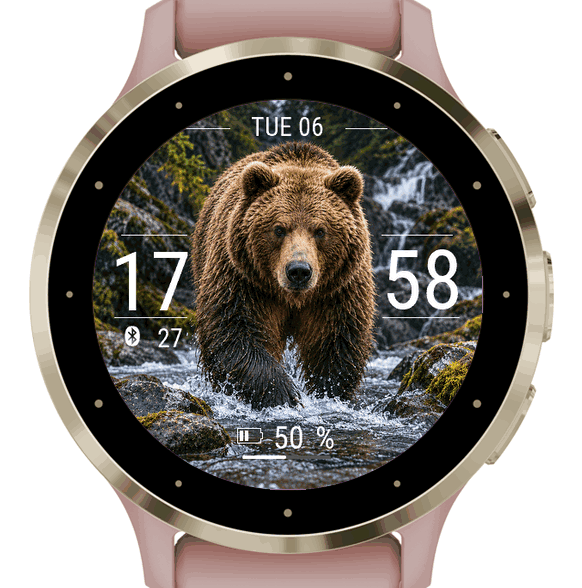 bear · Screenshot 0